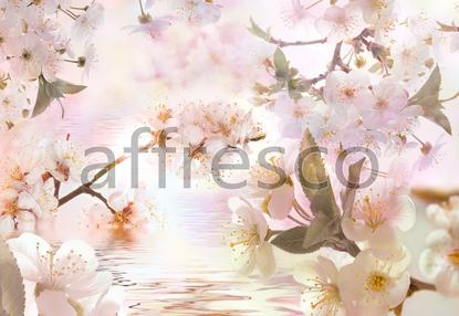 Цветущие ветки сакуры у воды,  арт. 7124