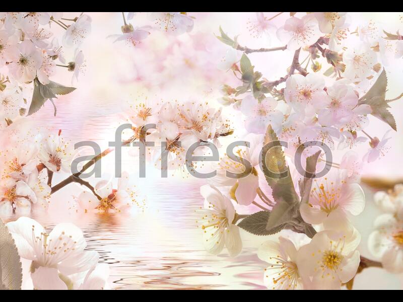 Цветущие ветки сакуры у воды,  арт. 7124
