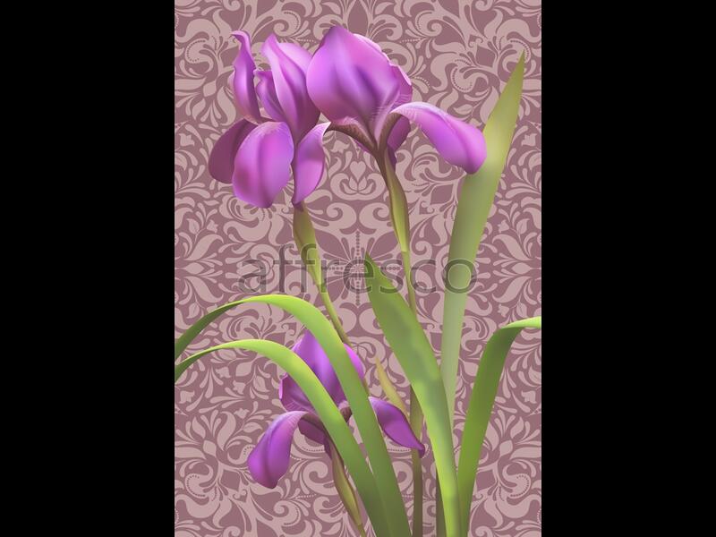 Фиолетовые ирисы,  арт. 7187