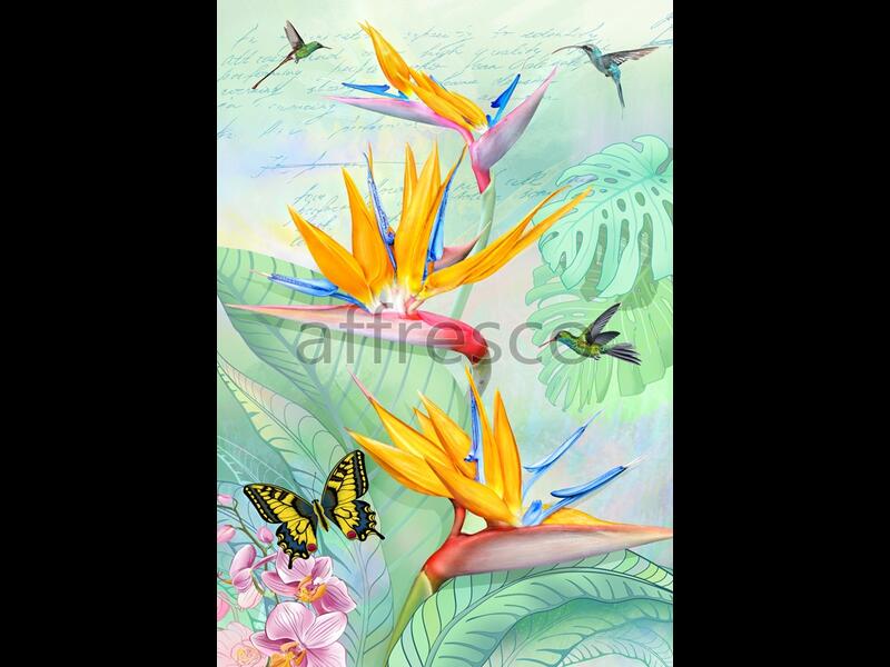 Бабочки и колибри,  арт. 7238