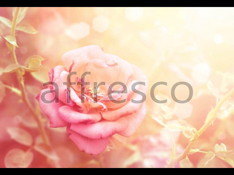 Розовый цветок,  арт. ID11723