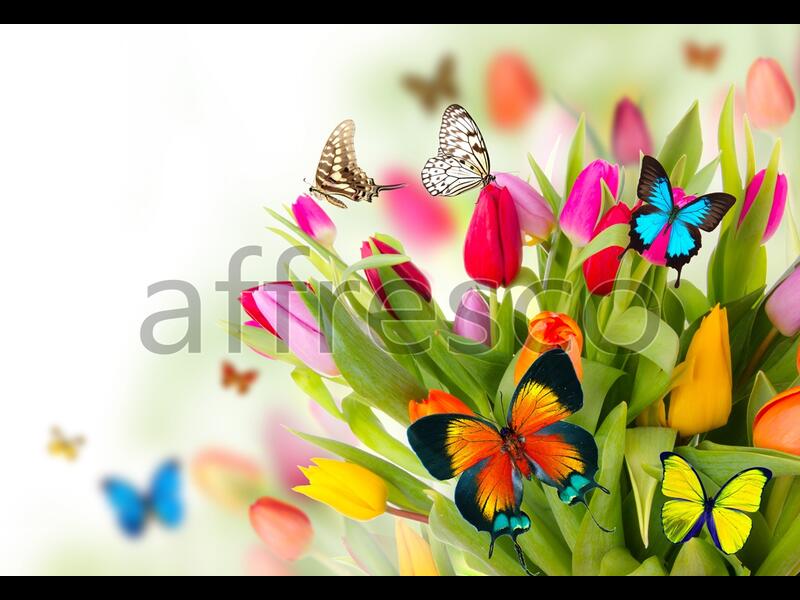 Бабочки на тюльпанах,  арт. ID12754