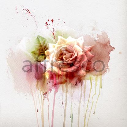 Роза акварель,  арт. ID12801