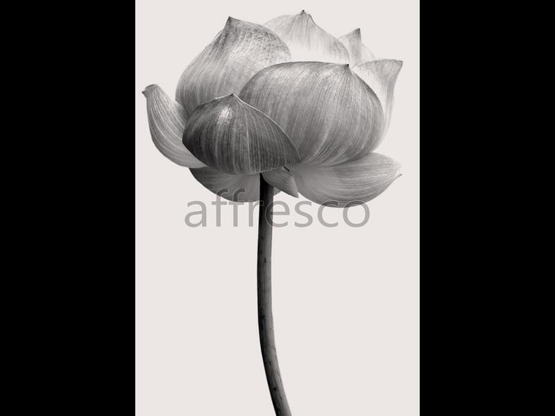 Бутон цветка,  арт. ID12813