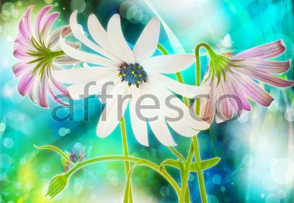 Нежные полевые цветы,  арт. ID13323