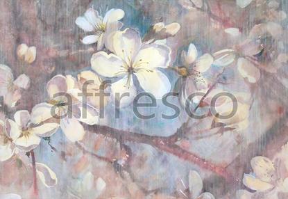 Цветы сакуры,  арт. ID13489
