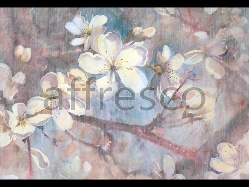 Цветы сакуры,  арт. ID13489
