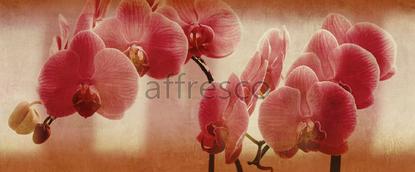 Цветы на ветке орхидеи,  арт. ID135671