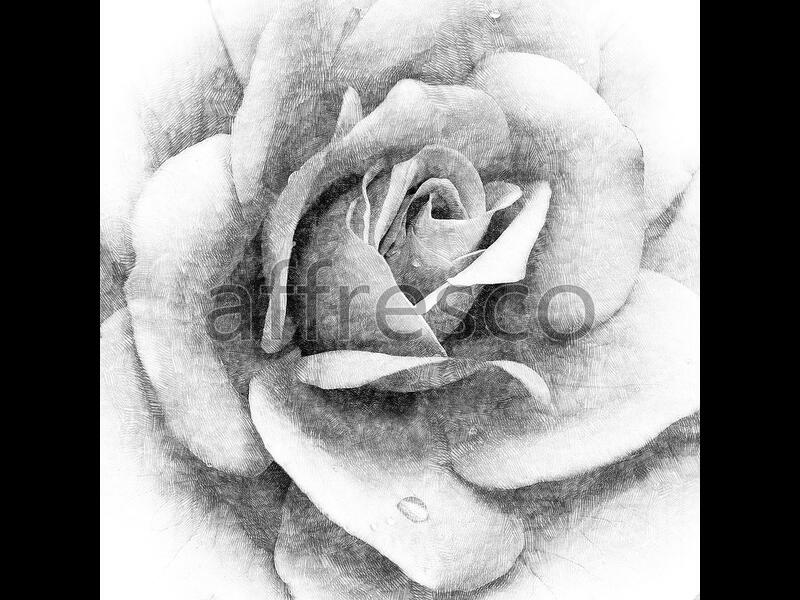 Набросок розы,  арт. ID136152
