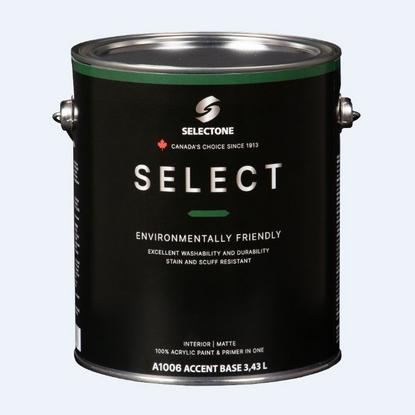 100% Акриловая матовая краска Selectone Select Matte A1000