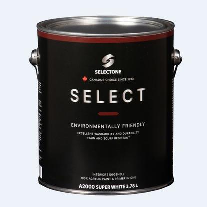 Акриловая краска премиум-класса Selectone Select Eggshell A2000